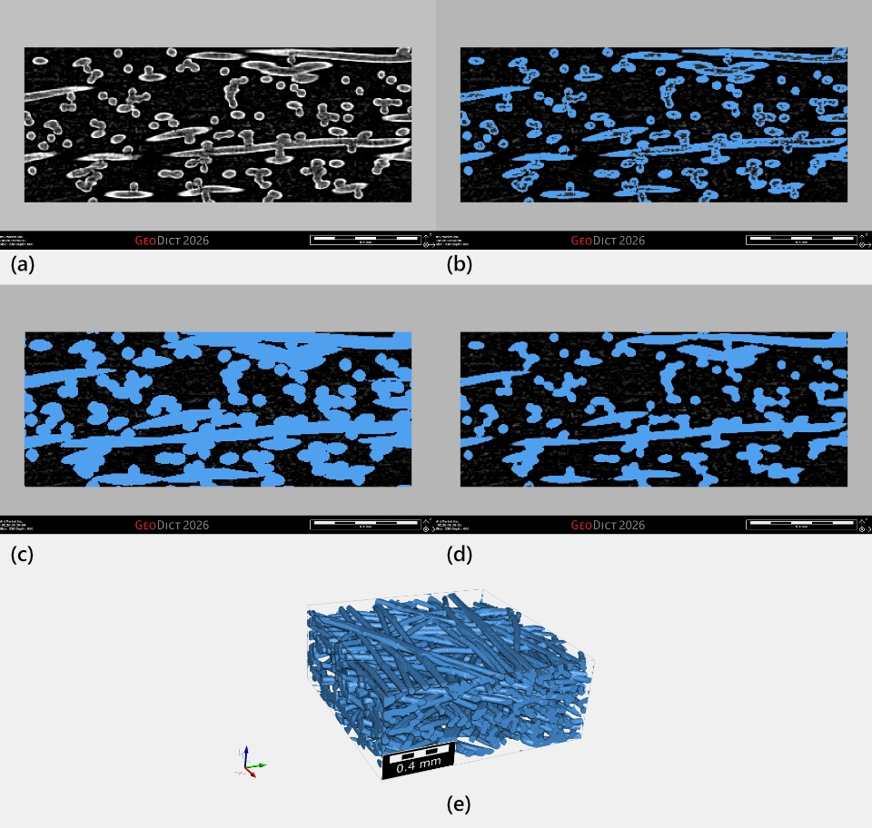 Example of morphological operations to improve segmentation on a scan of fibers. In (a) the original greyscale image shows that the fibers have lower brightness in their centers, (b) shows the thresholding segmentation with lack of adequate labelling in the center of the fibers, (c) shows a dilate function applied to the segmentation to fill in the centers and (d) an erode function to regain the original fiber boundaries on the segmentation. In (e) the end result in 3D is shown with filled fibers.