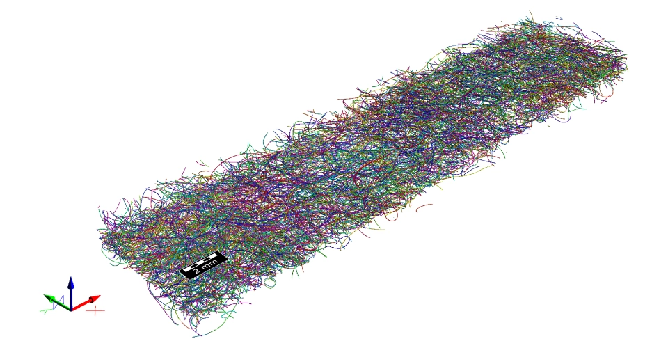 Identification of single fibers in a very large µCT scan