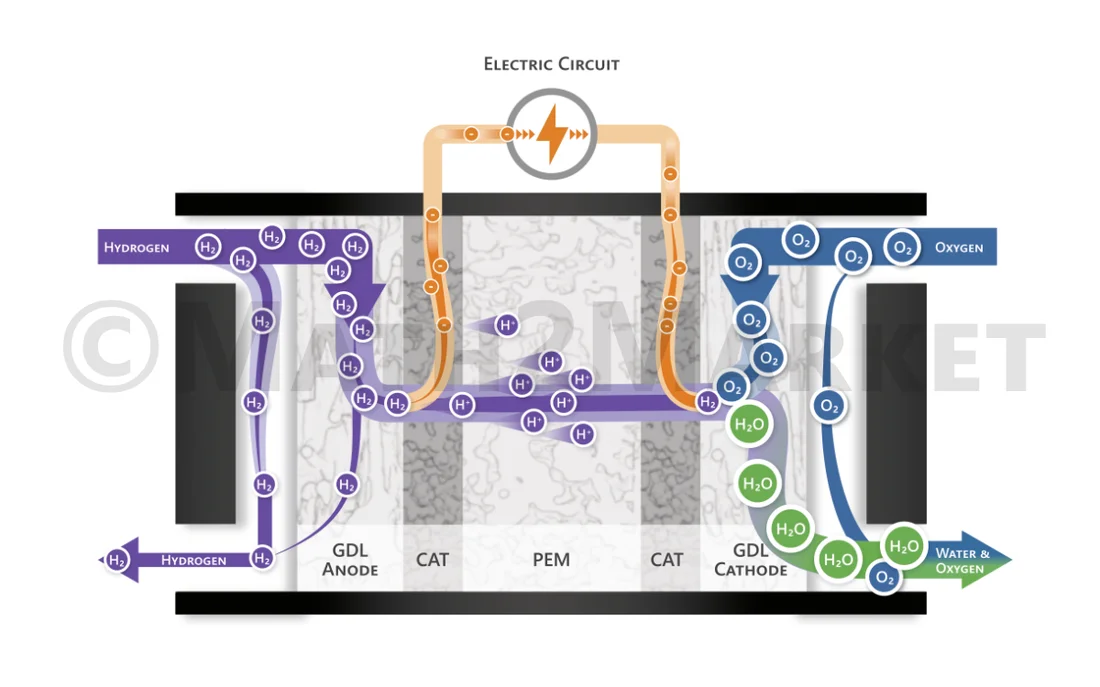 Functionality of a PEM fuel cell