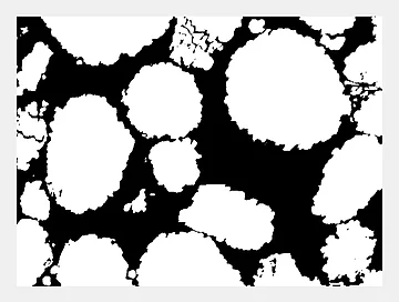 Segmented 2D image (from 3D FIB-SEM) used for the creation of the digital twin.