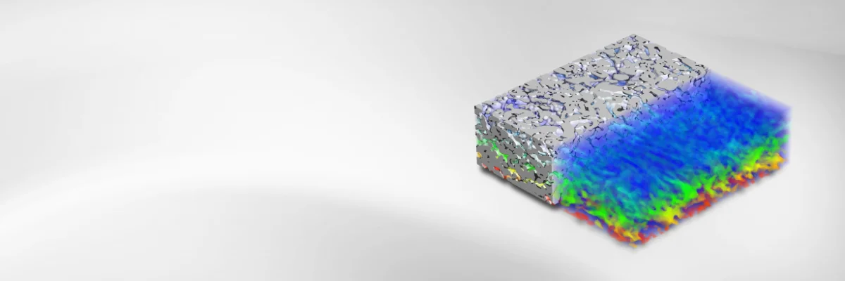 Analysis of transport parameters in an electrode: A 3D visualization showing properties like conductivity and diffusivity within the microstructure