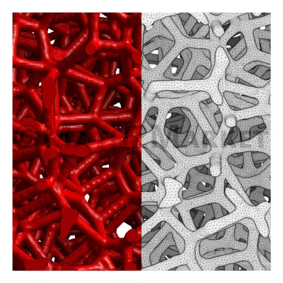 Triangulation of foam