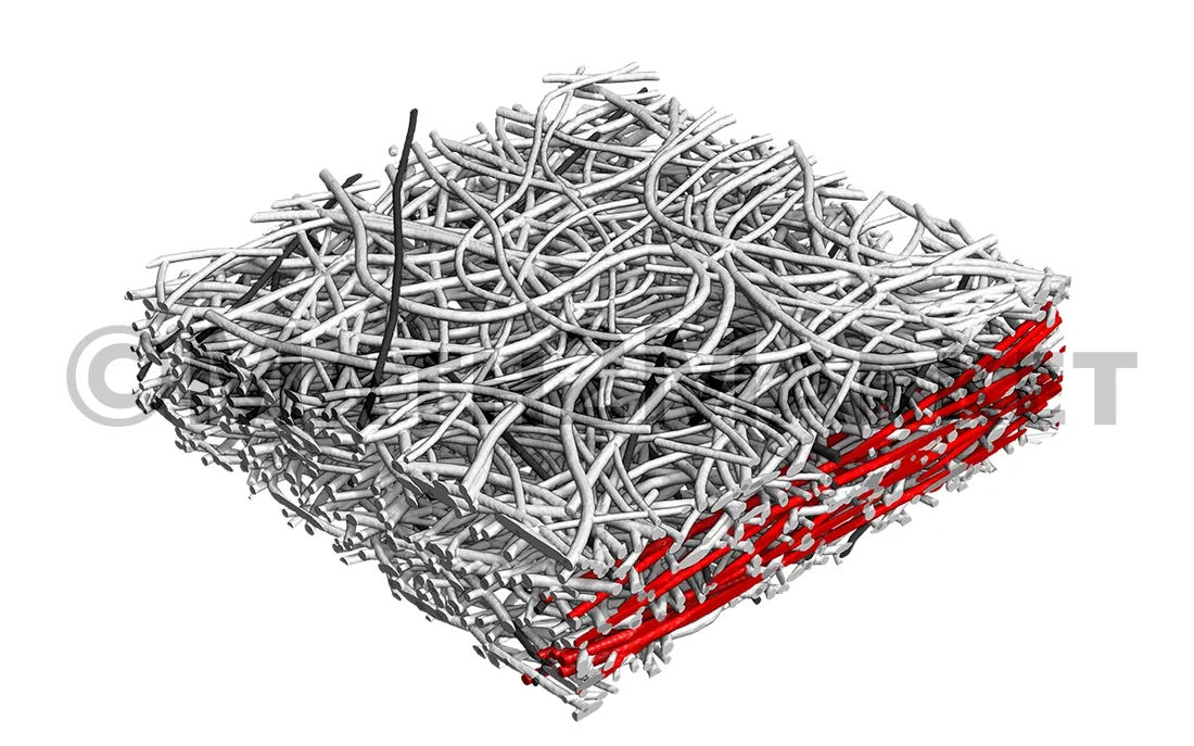Curved fibers created with FiberGeo