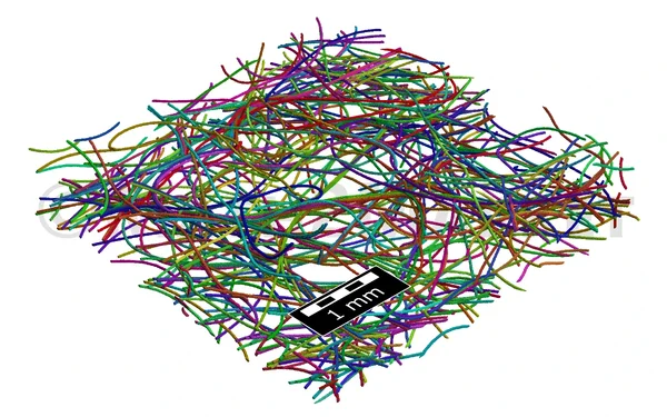 Identification of fiber properties by FiberFind-AI