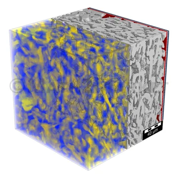 Calculated lithium concentration in the electrode