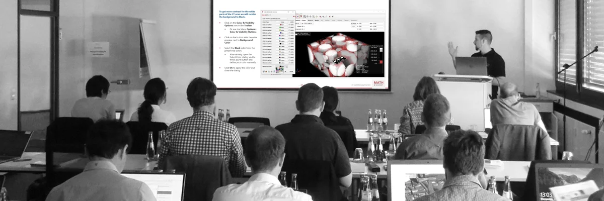 A Math2Market expert giving a presentation during a GeoDict workshop for an audience of customers
