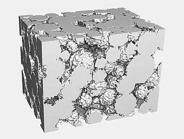 Geometry of the digital twin. Visualization of the full 3D geometry.
