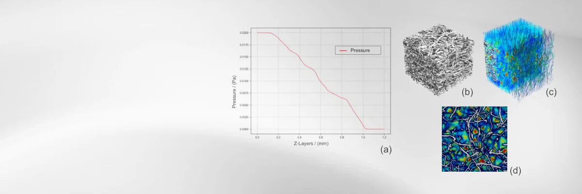 Flow simulation in fibrous microstructures